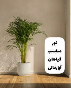 new image
